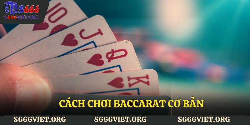 Khám phá tổng quan về bài cào