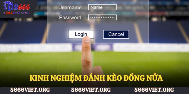 Kinh nghiệm đánh kèo đồng nửa