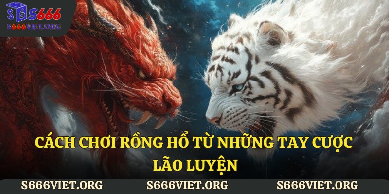 Cách chơi rồng hổ từ những tay cược lão luyện