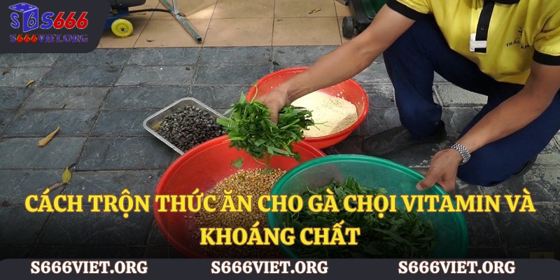 Cách trộn thức ăn cho gà chọi Vitamin và khoáng chất