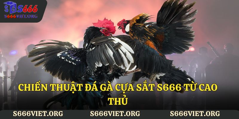 Chiến thuật đá gà cựa sắt S666 từ cao thủ