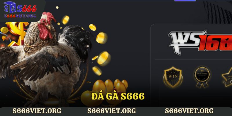 Đá gà S666