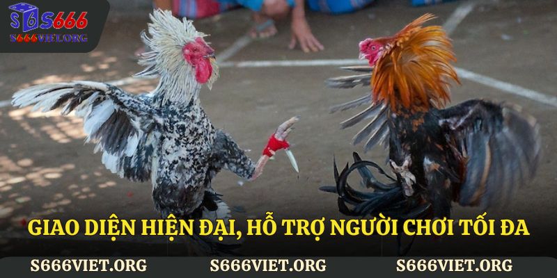 Giao diện hiện đại, hỗ trợ người chơi tối đa