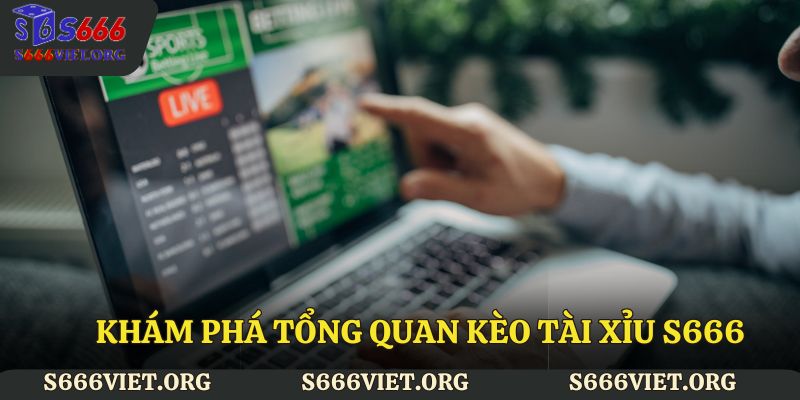 Khám phá tổng quan kèo tài xỉu S666