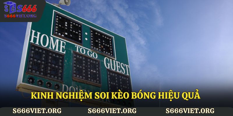 Kinh nghiệm soi kèo bóng hiệu quả dành cho bet thủ