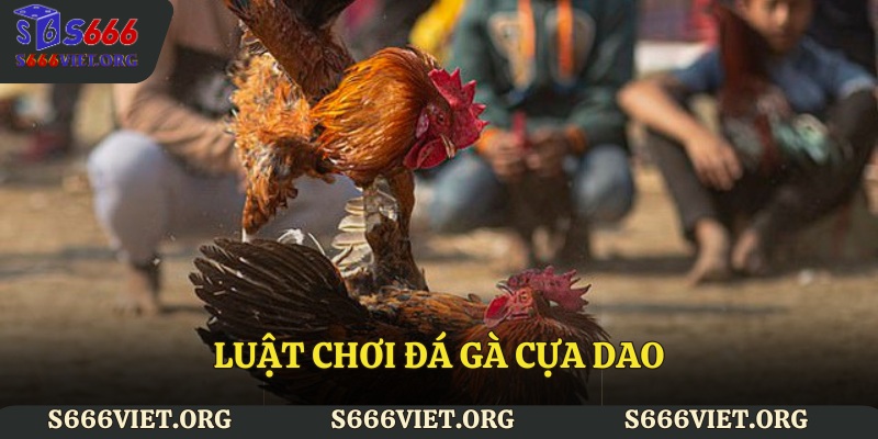 Luật chơi đá gà cựa dao