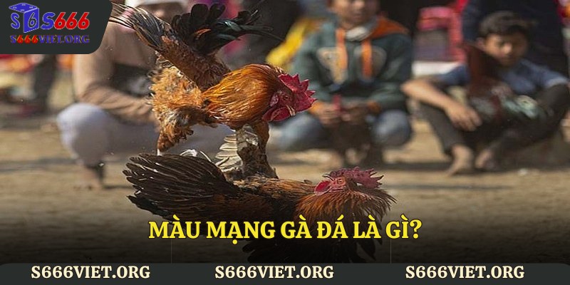 Màu mạng gà đá là gì?