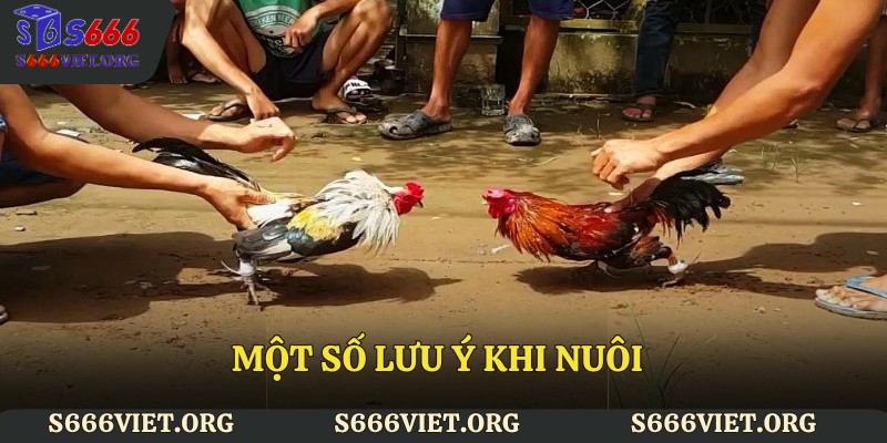 Một số lưu ý khi nuôi