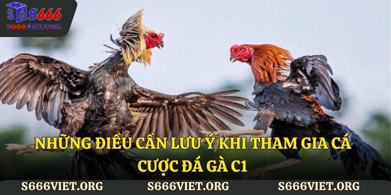 Những điều cần lưu ý khi tham gia cá cược đá gà C1
