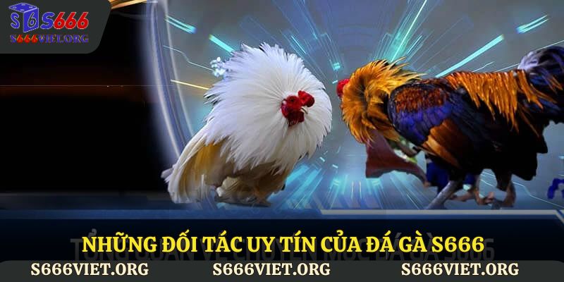 Những đối tác uy tín của đá gà S666