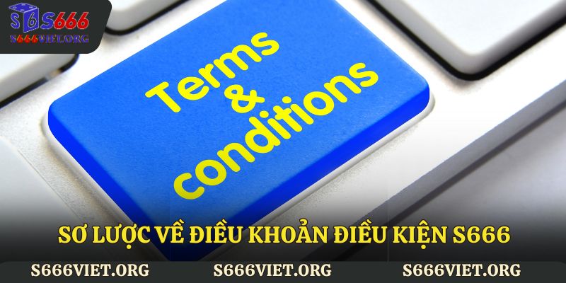 Sơ lược về điều khoản điều kiện S666