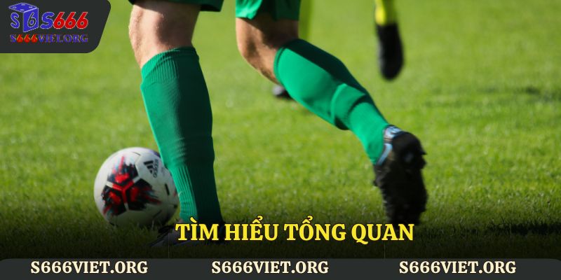 Tìm hiểu tổng quan về kèo châu Âu S666