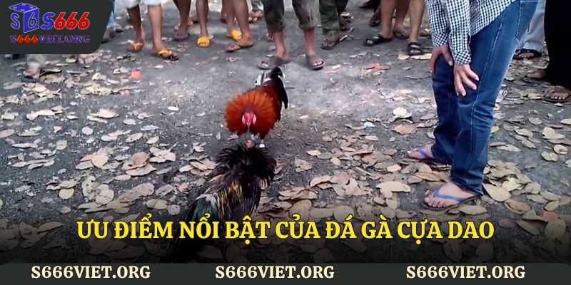 Ưu điểm nổi bật của đá gà cựa dao