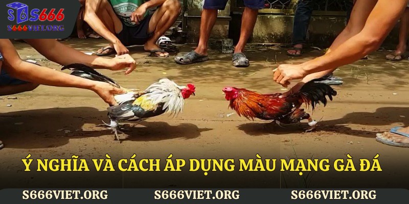 Ý nghĩa và cách áp dụng màu mạng gà đá